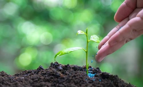 2021哈尔滨种子交易会 聚焦农作物种苗创新与产业化发展