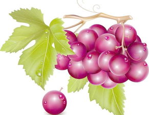 氨基酸型肥料 推动经济作物施肥与种子种苗发展的新动力