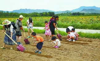 升级版开心农场 苏梨儿童农场引领农作物种子种苗新体验