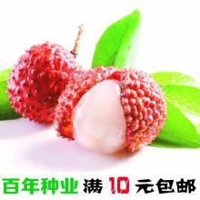 广西玉林市农产品果树幼苗批发场 您的“绿色银行”一站式采购基地