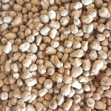 播撒希望，耕耘未来 中国农作物种子市场的发展与展望