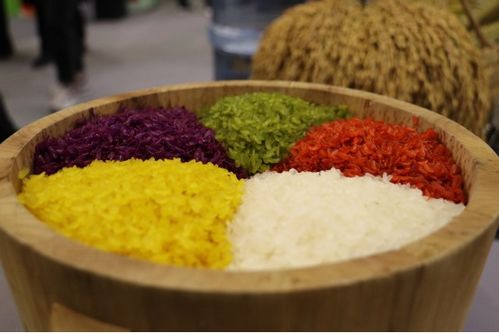 展特色 促合作 广西20种地标产品亮相第十八届国际农产品交易会，聚焦农作物种子种苗新机遇