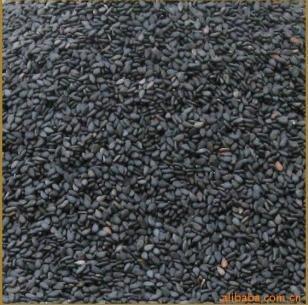 山东黑芝麻种子优质供应 种植要点与厂家推荐