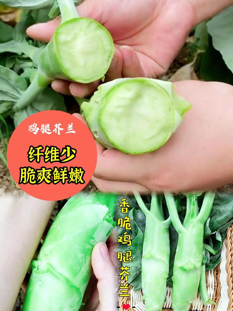 冬夏皆宜的清脆美味 鸡腿芥兰，打造您的四季私家菜园